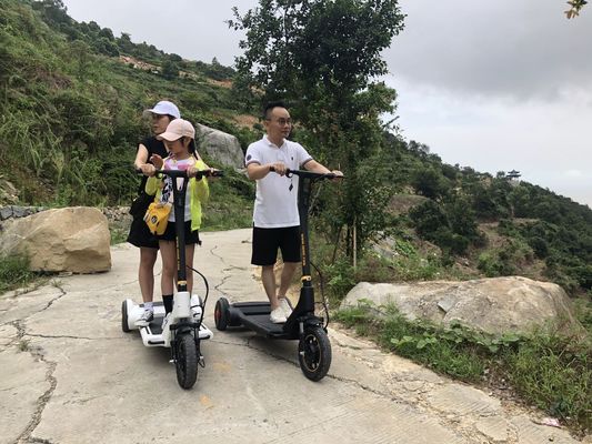 Handle Control 250W 3 Wheel Battery Operated Scooter