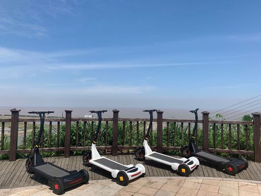 Handle Control 250W 3 Wheel Battery Operated Scooter