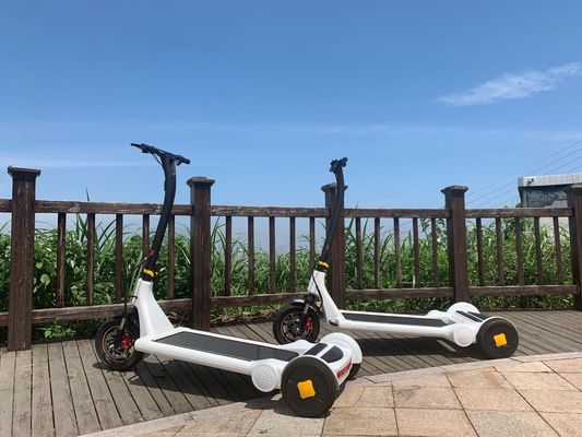 Running Belt 250W Electric Balance Scooter For Home