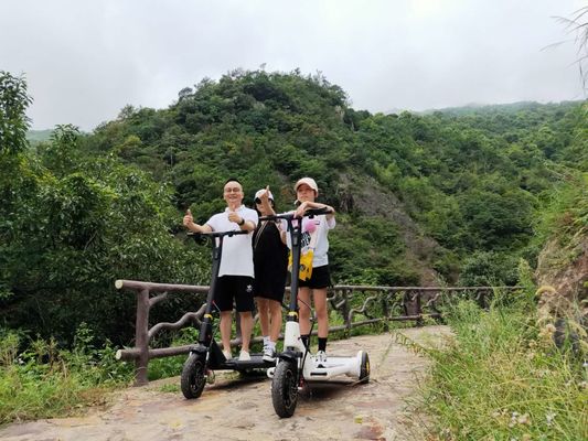 DC Brushless Hub Motor 250W City Commuter Scooter