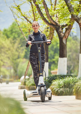 25km/h Balancing DC motor Portable Kick Scooter