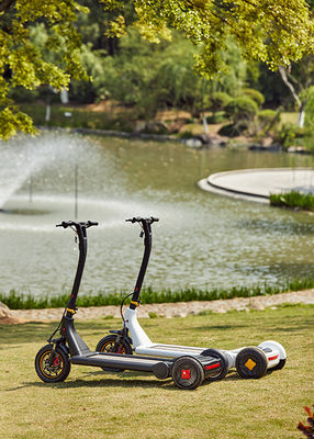 Brushless Hub Motor 25km/h Electric E Scooter
