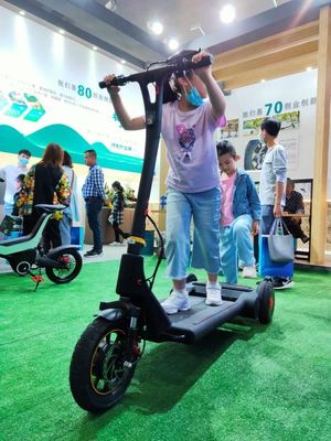 Precursor 30KM Mileage 11.3Ah Battery  Portable 3 Wheel E Scooter
