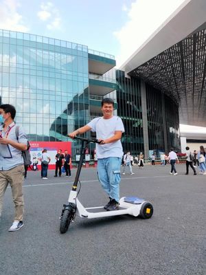 Precursor 30KM Mileage 11.3Ah Battery  Portable 3 Wheel E Scooter