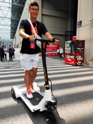 DC brushless 0.25kw motor 25km/H Three Wheel E Scooter