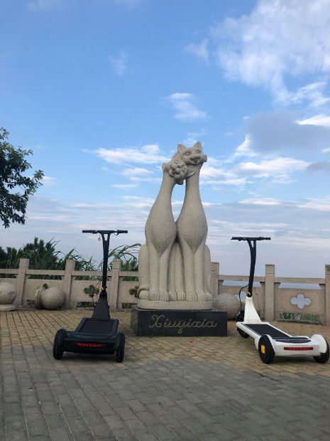 8h Charging Precursor Driving Adult Folding Scooter