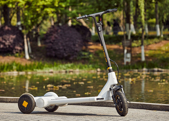 DC Motor Portable Electric Scooter
