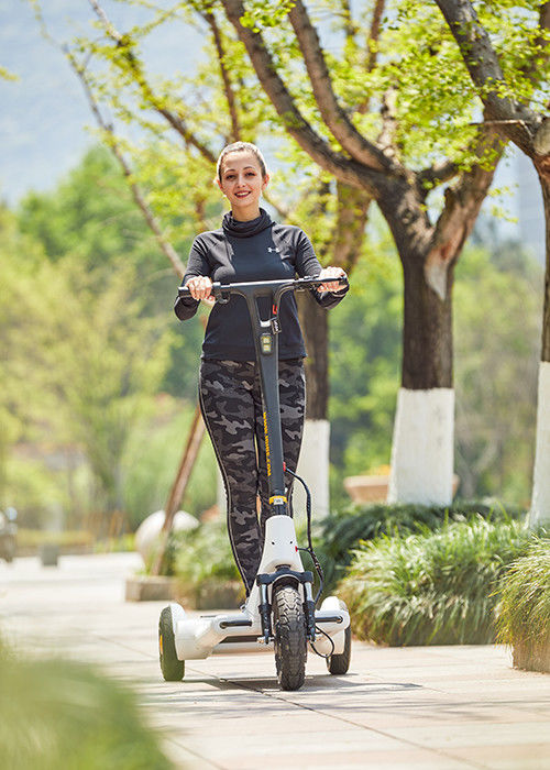 25km/h Balancing DC motor Portable Kick Scooter