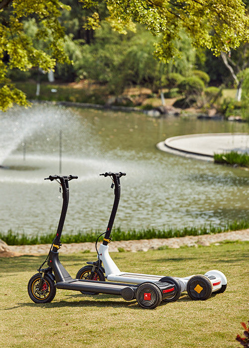 DC Brushless Hub Motor 25km/H 3 Wheel E Scooter