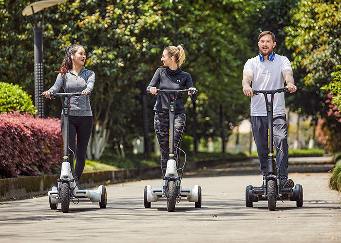 Structural Steel 4h Charging Stand Up Motor Scooter